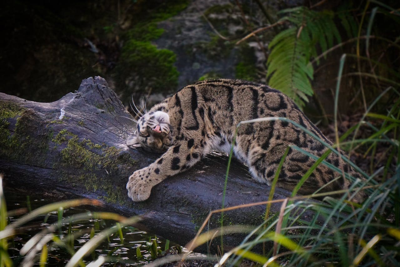 Hands-on work representing validation and engineering rigor.